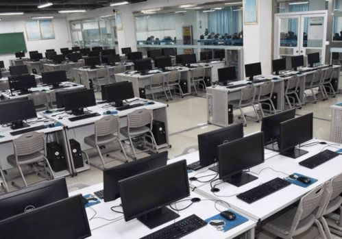 小程序，大幫手 軟件技術開發如何賦能現代生活