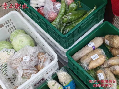 美麗河北 e起過年——故城品牌農(nóng)產(chǎn)品進社區(qū)，稱心年貨送上門