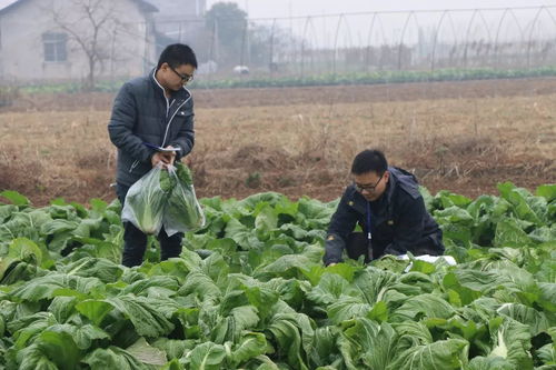 筑牢“舌尖安全”首道防線 強化食用農(nóng)產(chǎn)品初加工環(huán)節(jié)質(zhì)量安全監(jiān)管