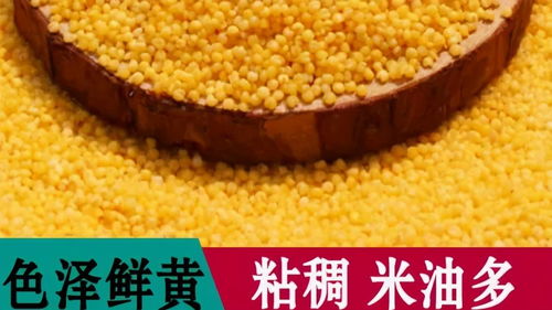 方山縣積翠鄉(xiāng) 消費扶貧月綠色農(nóng)產(chǎn)品展銷與網(wǎng)絡(luò)認購活動助力農(nóng)產(chǎn)品初加工升級