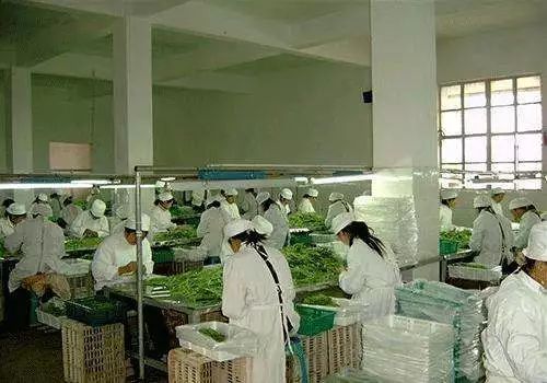 一圖解讀 七臺河市政府五大振興工程之食用農(nóng)產(chǎn)品初加工賦能行動