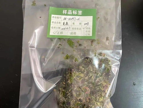 探秘實(shí)驗(yàn)室開放日 農(nóng)產(chǎn)品質(zhì)量檢測(cè)與食用農(nóng)產(chǎn)品初加工